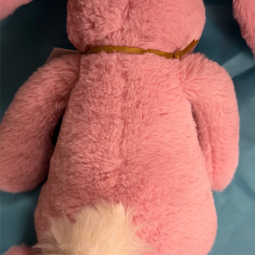 Authentic Jellycat Blushkin Blossom Luxe Bunny NWT and Jelly cat bag - Picture 9 of 11